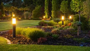 Chiếu sáng sân vườn