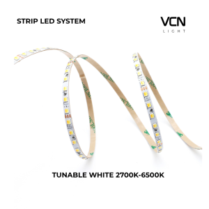 Đèn LED dây Strip LED Tunable White FFD0M4A2